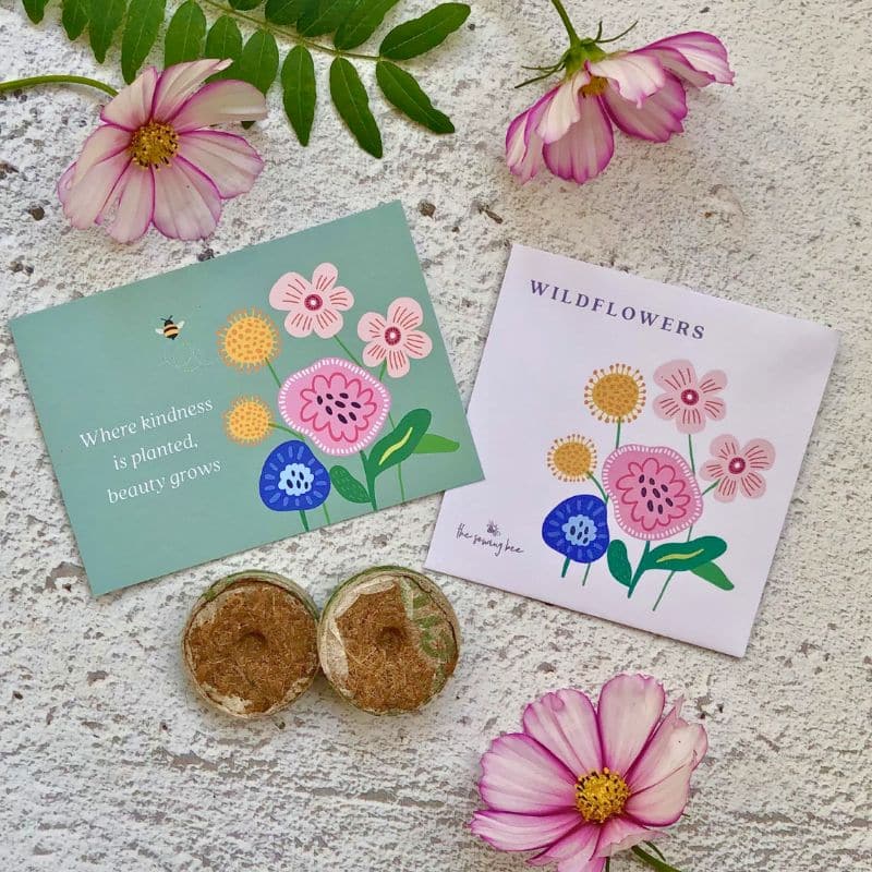 wildflower seed box contents (800 x 800 px) wildflower seed packet, card and coir disks