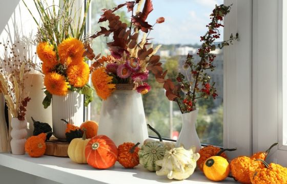 Autumn Garden Ideas for a Stylish Halloween windowsill