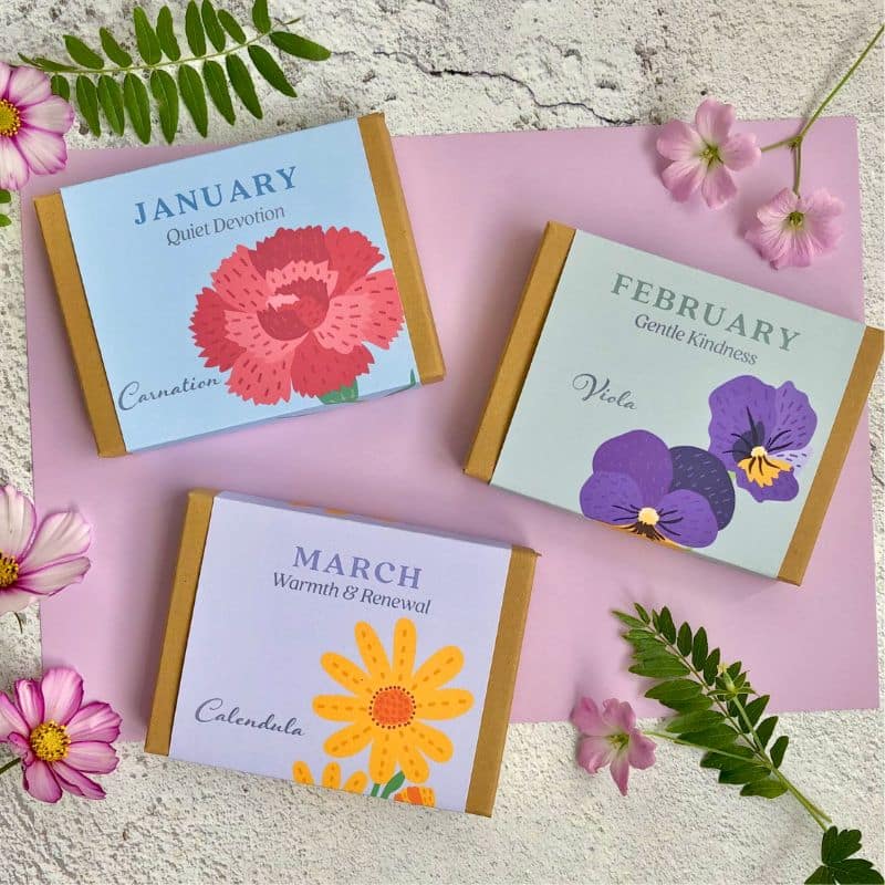birth flower seed gift boxes 800 x 800 (1)