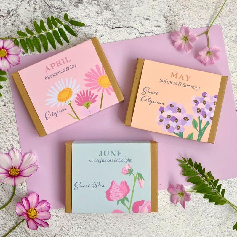 birth flower seed gift boxes 800 x 800 (2)