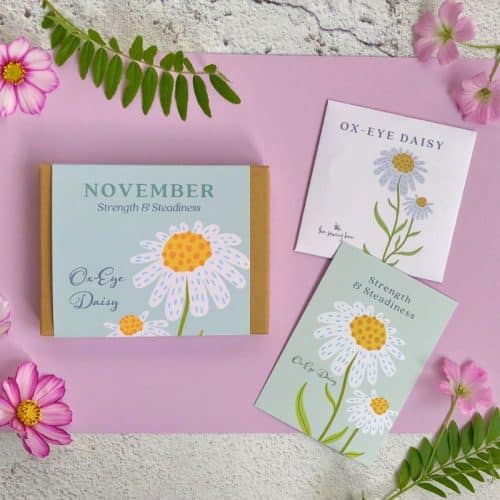 Ox-Eye Daisy birth flower gift box with seeds and card